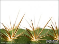 [field:title/]
